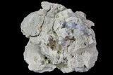 Purple/Gray Fluorite & Calcite - Marblehead Quarry Ohio #81180-1